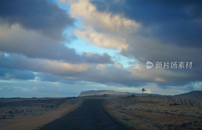 复活节岛(Rapa Nui或Isla de Pascua)风景与草地，智利